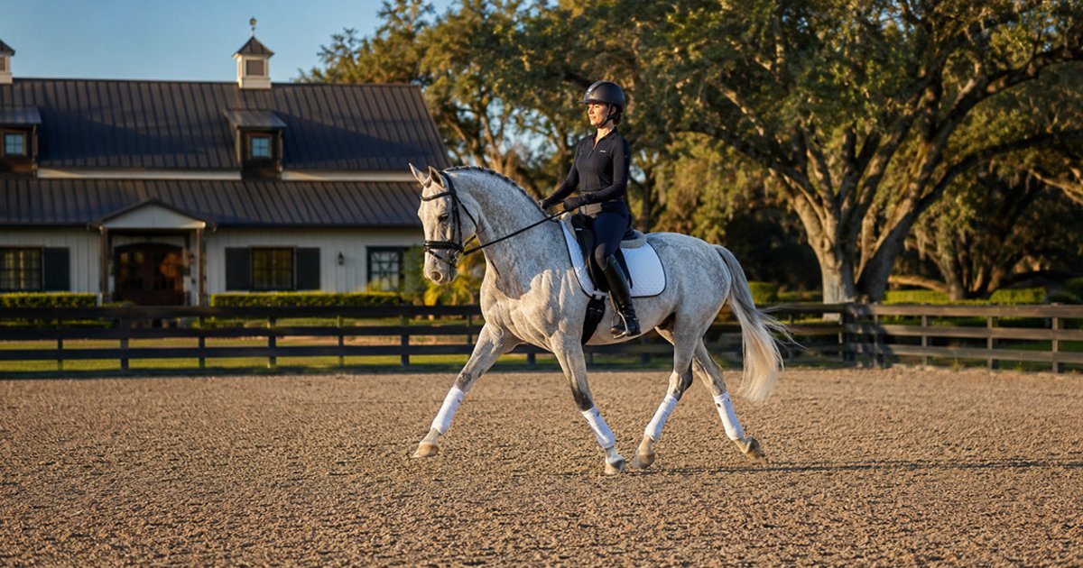 The Ground Your Horse Works On - Why Your Horse Arena Matters