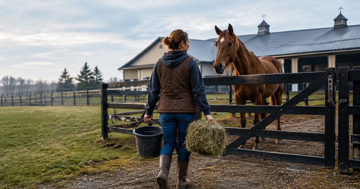 Horse Care for Beginners: Your First-Year Essentials