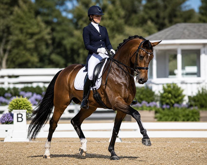 A dressage rider on a bay warmblood performing an extended trot in an outdoor competition arena
