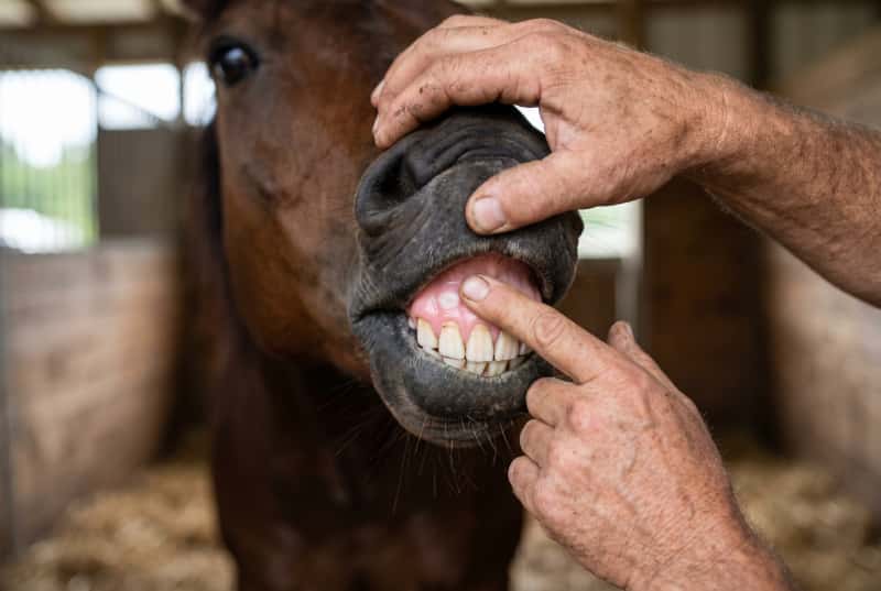 2colic
