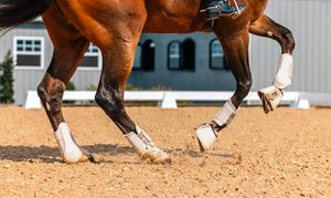 AlphaTex DIY dust-free horse arena footing by Attwood Equestrian