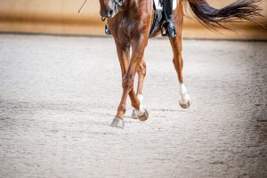 Attwood Equestrian arena footing installed and harrowed in a riding ring