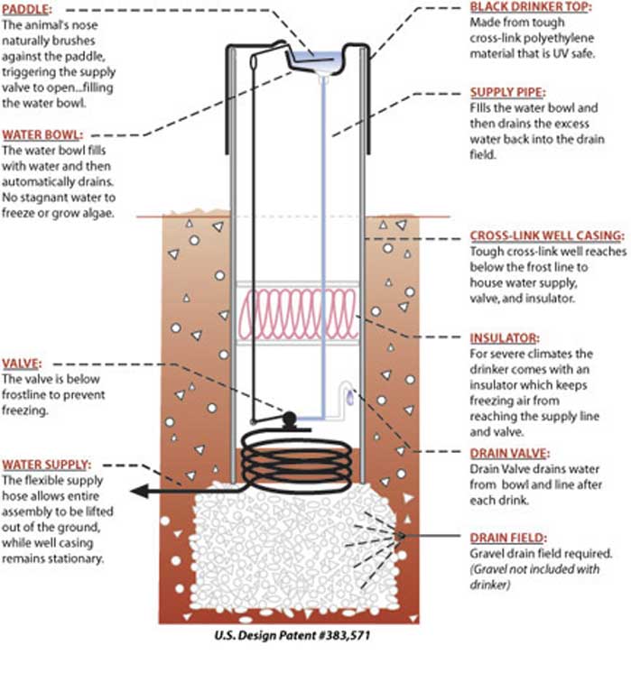 Diagram of how the Bar-Bar-A frost-free waterer works with drain-back design
