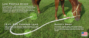 Beyond Tack equine ground tie system staked out for trail riders campers and packers