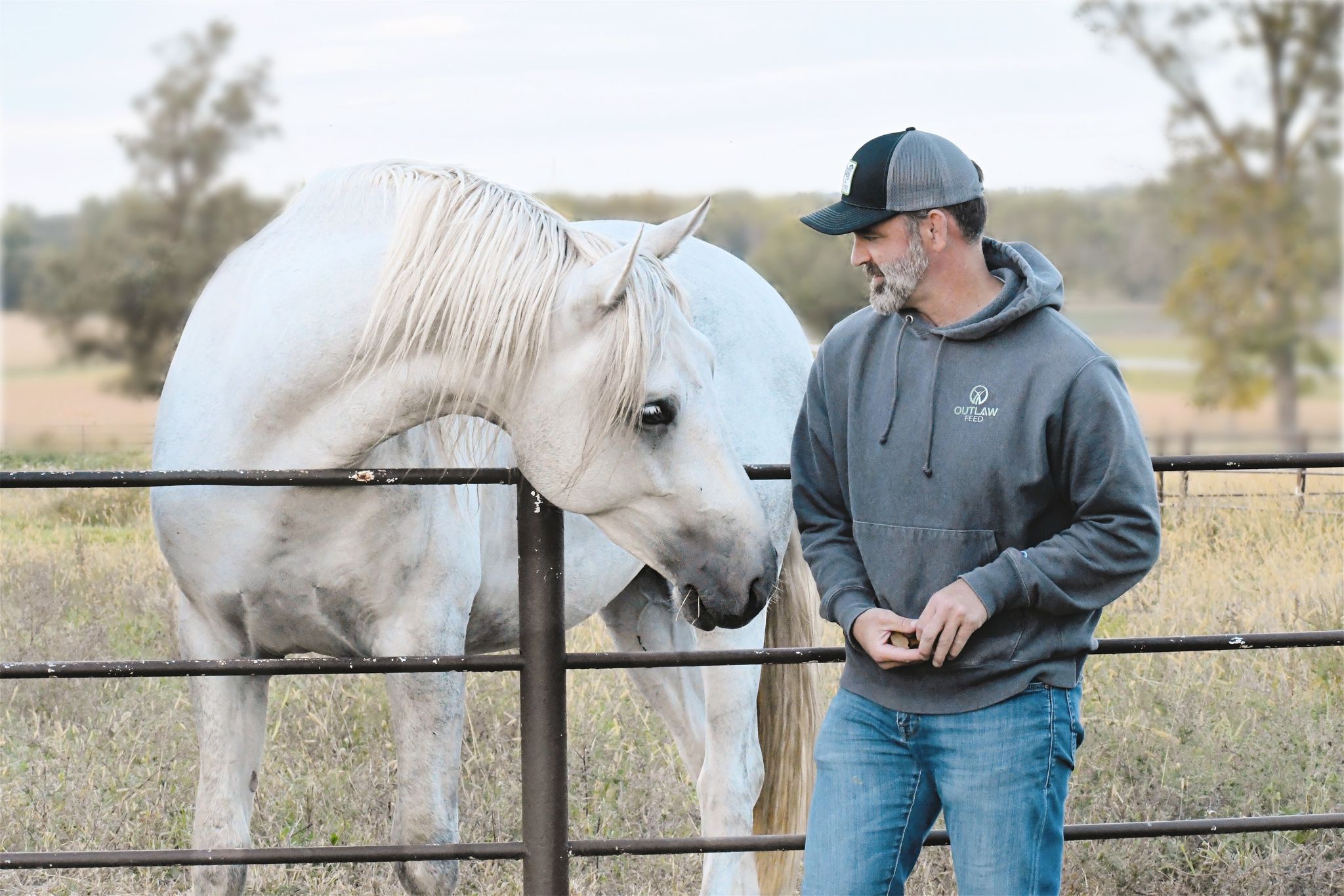 Gray horse leaning over a steel pasture fence beside its handler wearing an Outlaw Feed hoodie on a fall pasture