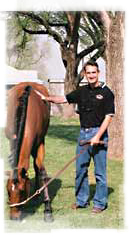Thoroughbred horse grazing, representing equine clients of the Law Offices of Bing I. Bush, Jr.