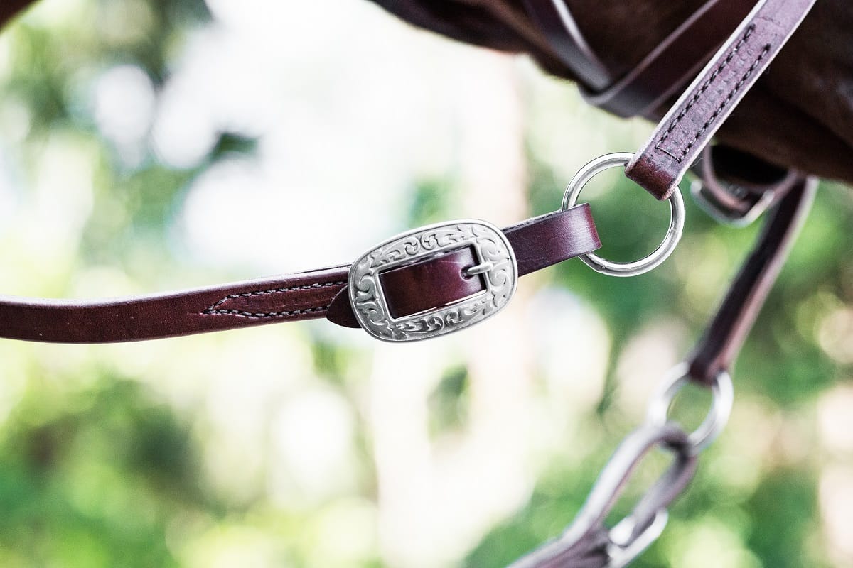 Close-up of the floral engraved stainless buckle on Dr. Cook Deluxe Harness Leather reins
