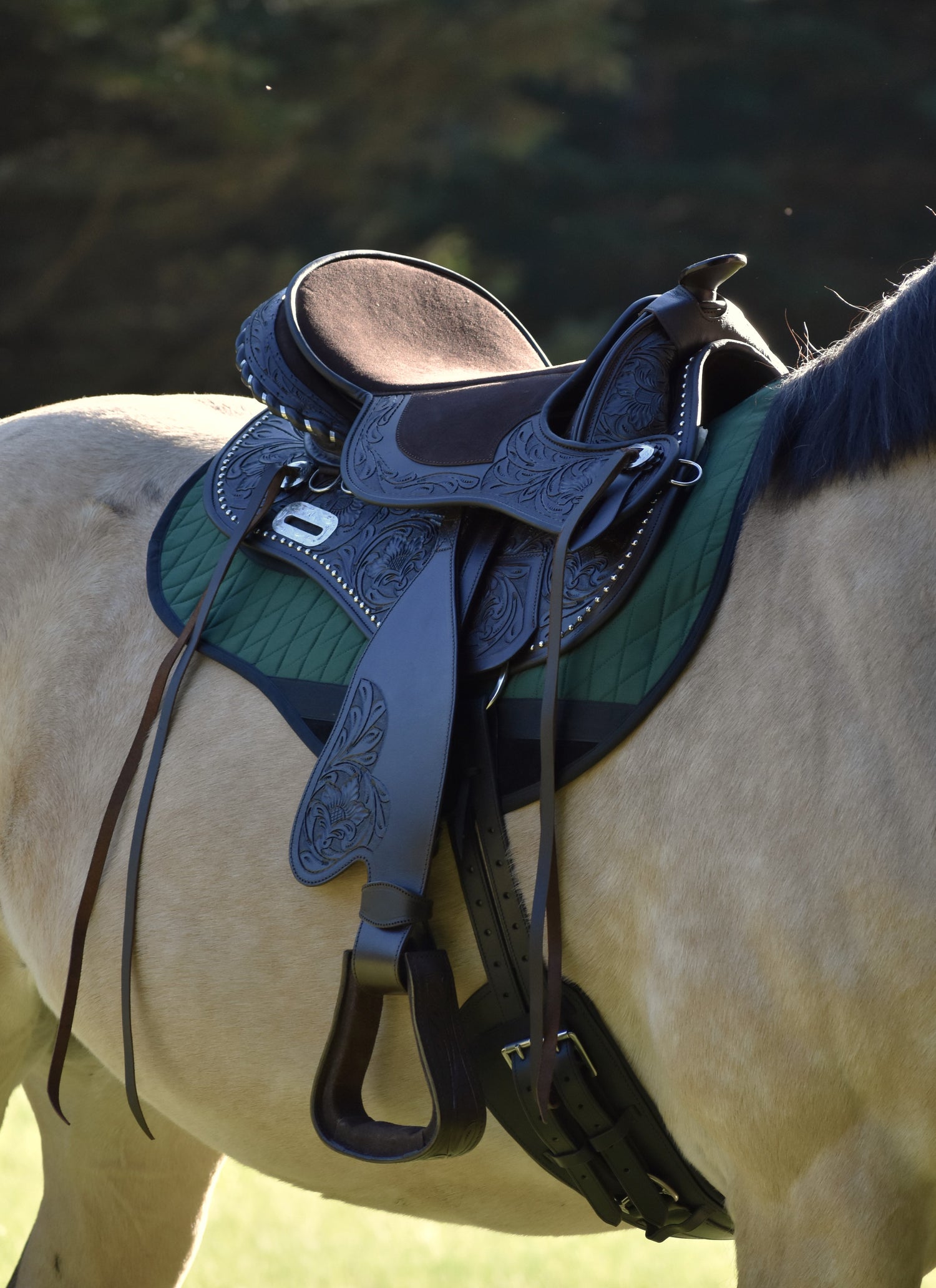 Black Forest treeless saddle deluxe suede seat and 5-inch Cheyenne cantle detail
