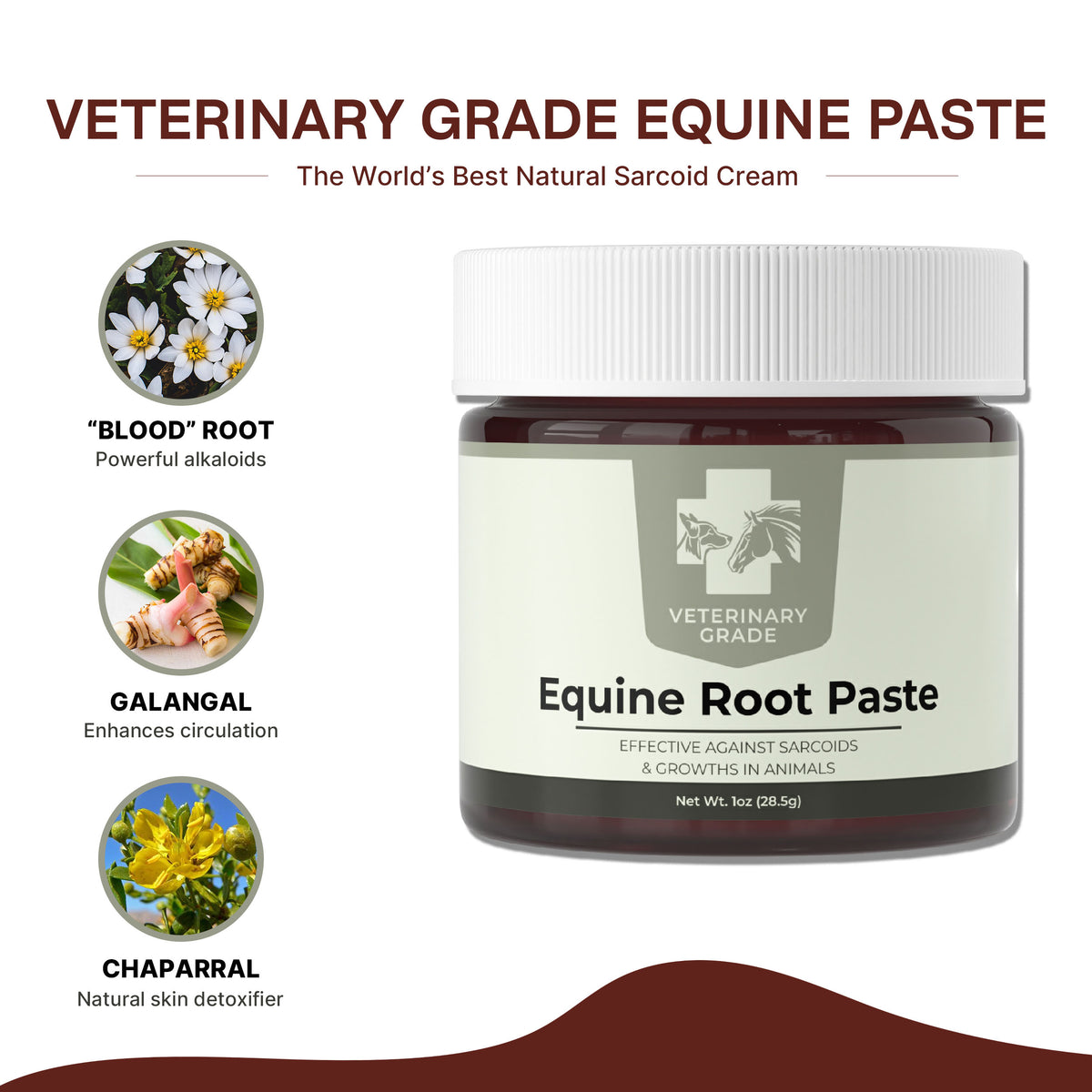 Infographic showing the key botanicals in Veterinary Grade Equine Root Paste: bloodroot, galangal, and chaparral beside the product jar