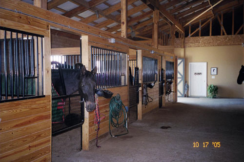Powder-coated steel horse stall bars and hardware inside a Blue Chip Structures barn