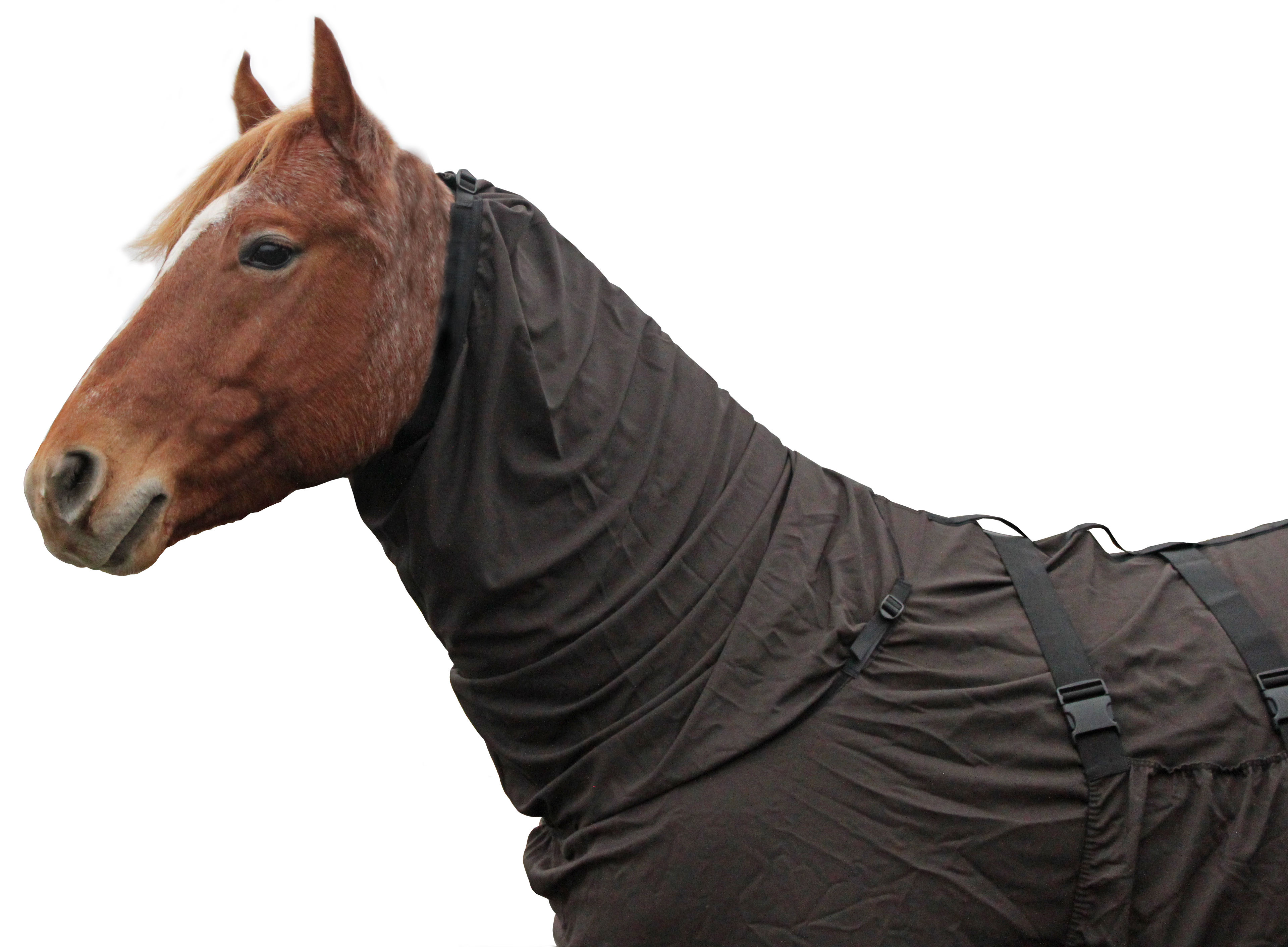Horse wearing the Boett Sweet Itch Blanket for full-body protection against biting midges