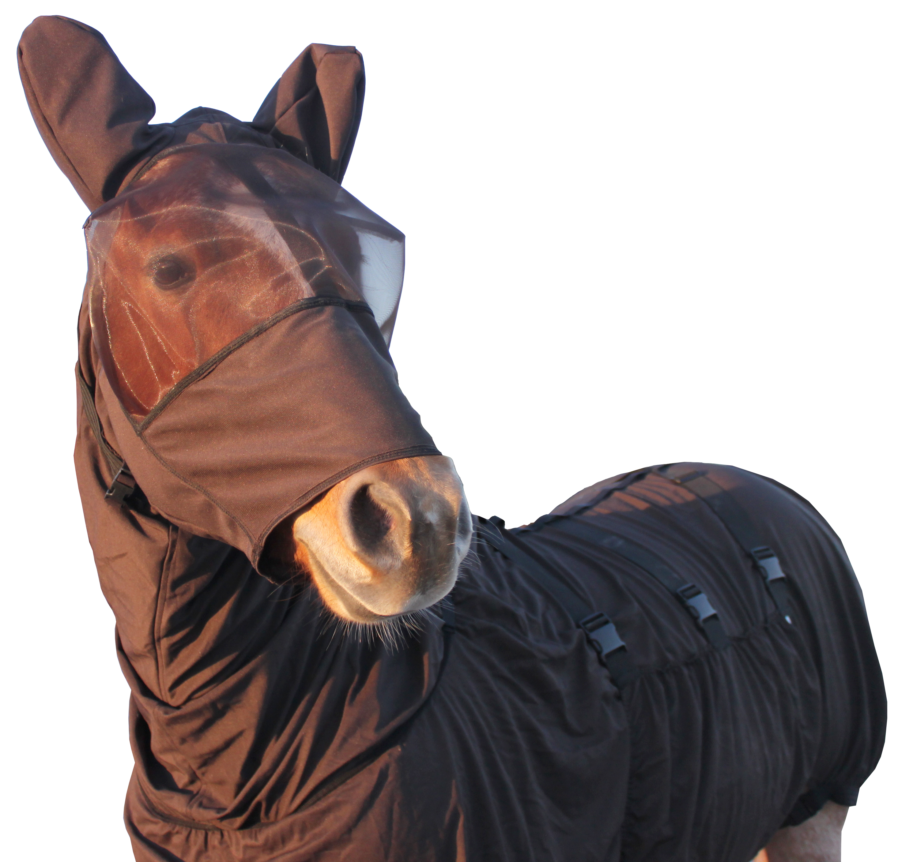 Boett USA Swedish-designed sweet itch blanket lifestyle photo with horse outdoors