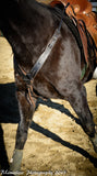Buckaroo Pulling Breast Collar detail showing 2.5 inch wide harness leather and hardware