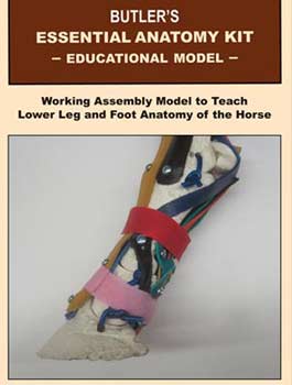 Equine foot and limb anatomy reference book used at Butler Professional Farrier School