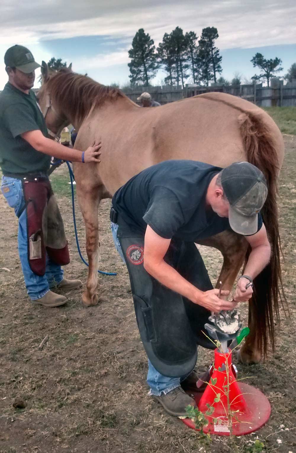 Hands-on horseshoeing instruction at Butler Professional Farrier School in Crawford, Nebraska