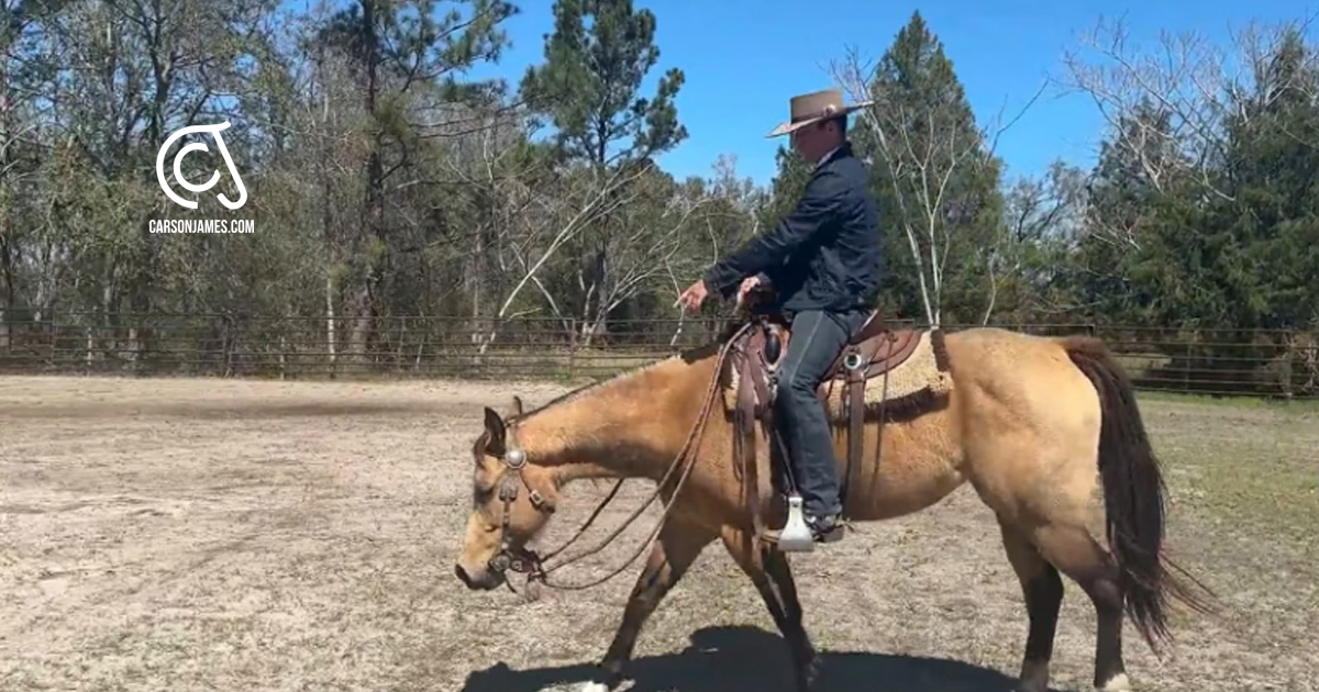 Carson James riding a buckskin horse stretching long and low to demonstrate relaxation and frame