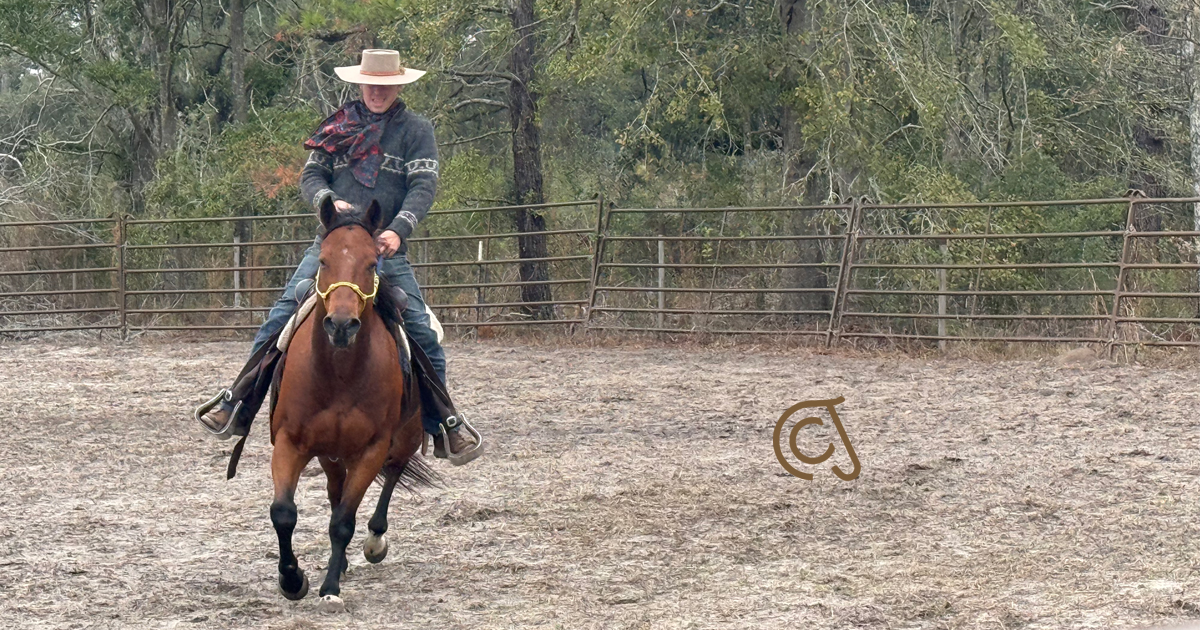 Carson James riding a bay horse forward in a round pen during a problem-solving horsemanship session