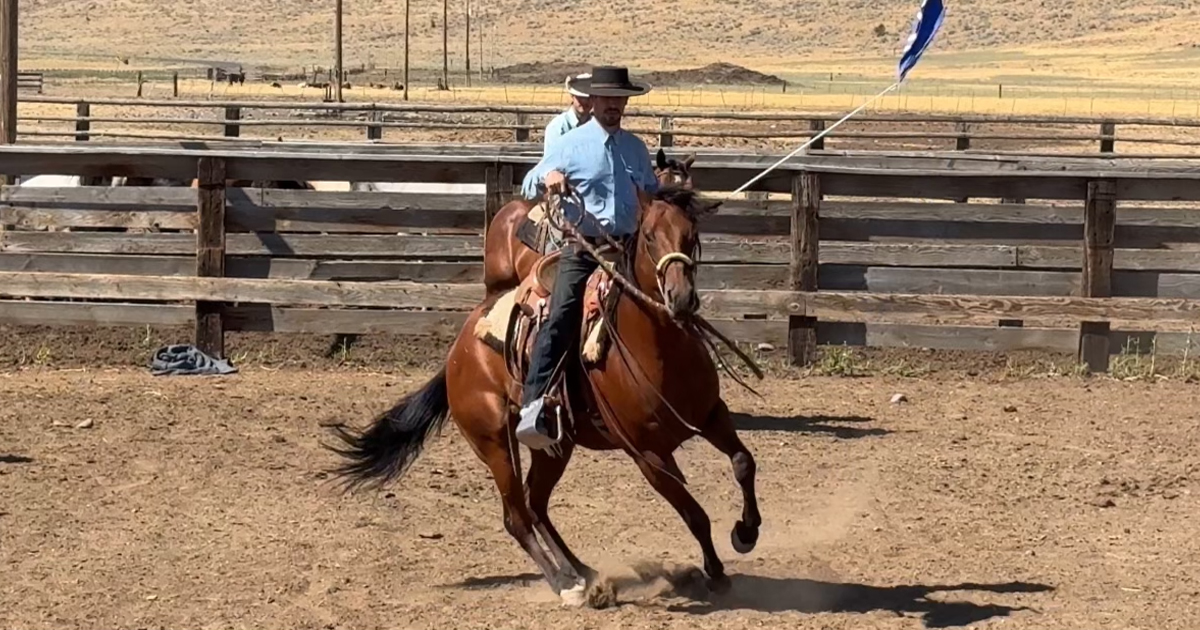Carson James cantering a bay Quarter Horse around an arena while carrying a flag during a speed-control lesson