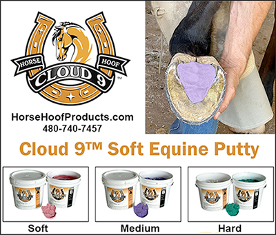 Cloud 9™ Soft Equine Putty