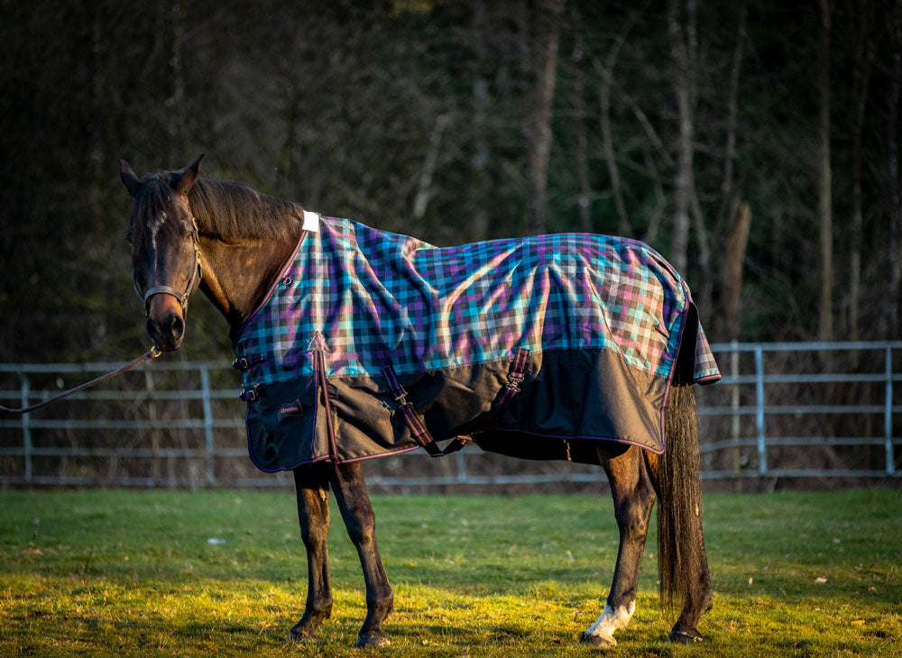 Champion Horse Blankets 1200 denier ripstop turnout blanket detail view