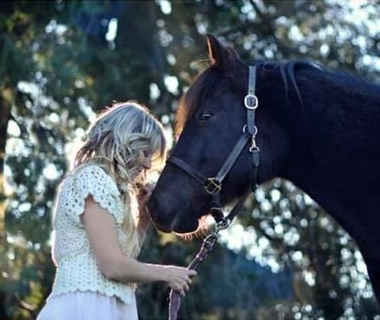 Champion Horse Blankets owner Kristen O'Connor with her horse Zydico