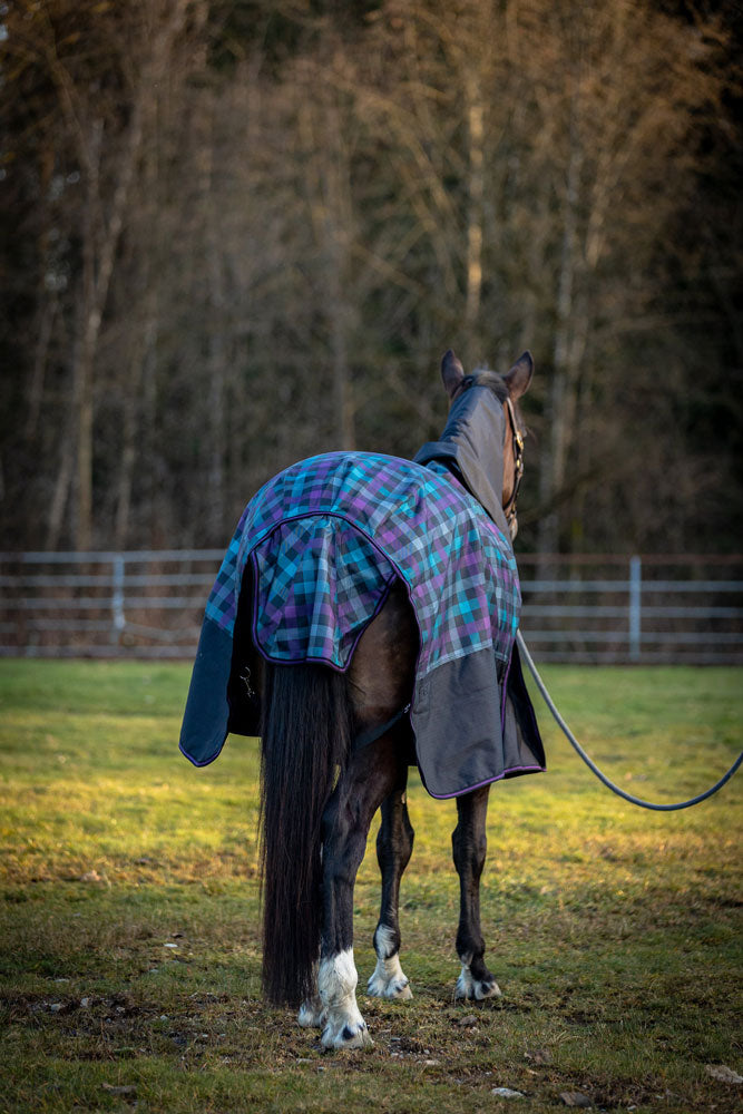 Champion Horse Blankets turnout blanket showing shoulder gussets and chest closures