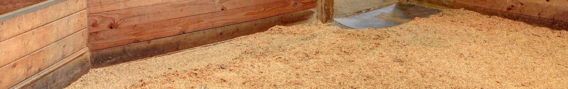 Champion Shavings premium bagged pine wood shavings horse stall bedding