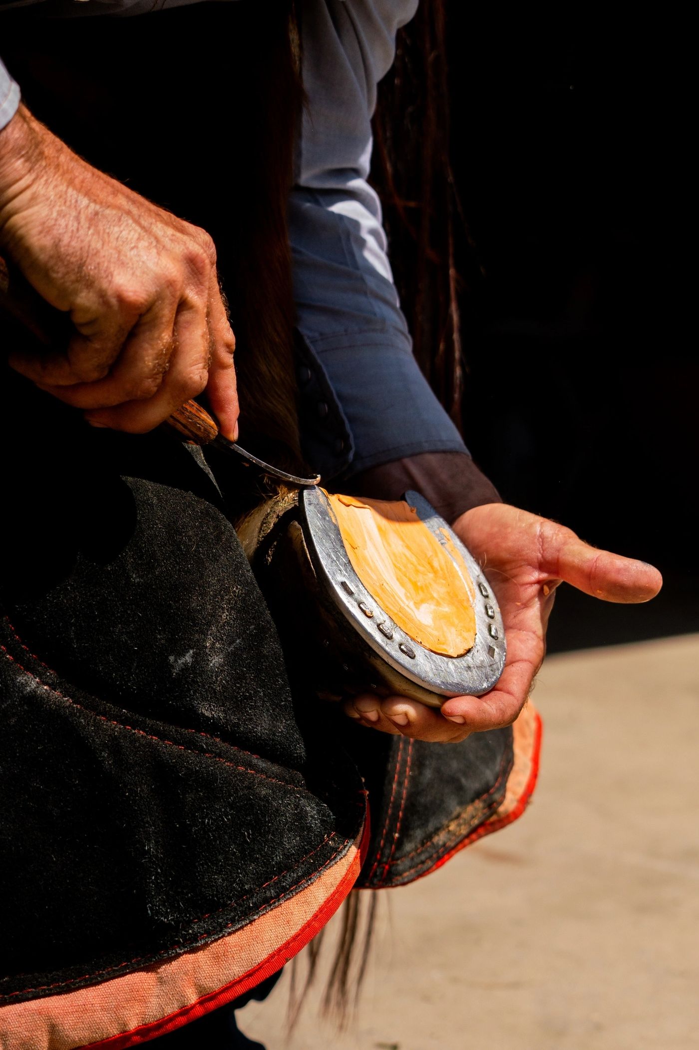 Farrier holding a shod horse hoof with Cloud 9 silicone putty packed across the sole