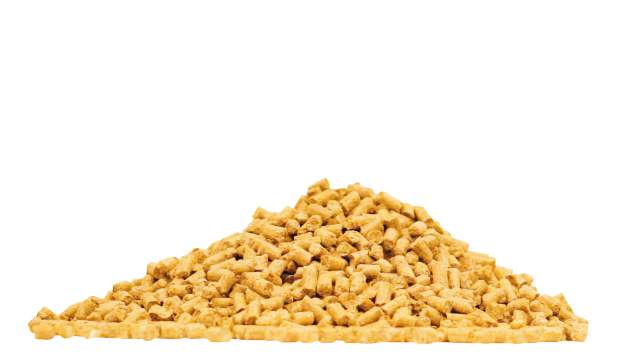 Pile of Assure Guard Gold pelleted digestive supplement that horses receive daily under the program