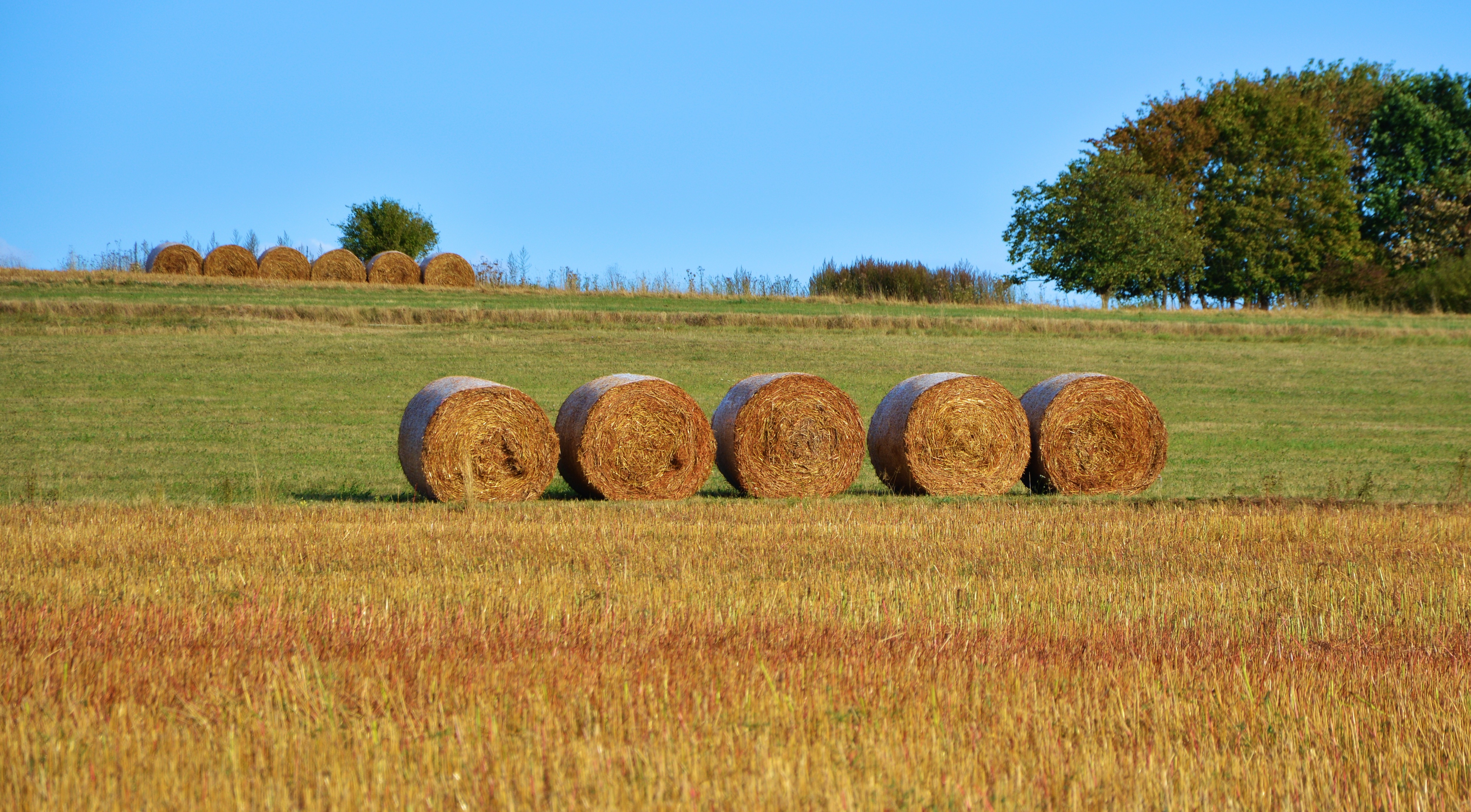 Stored round hay bales kept dry and mold-free with weather protection