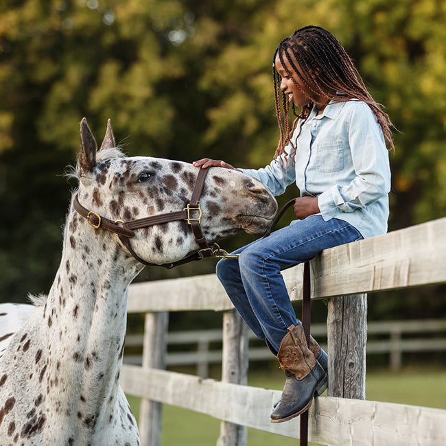 Young equestrian bonding with a spotted Appaloosa horse at a wooden fence, mane and coat groomed to a clean shine