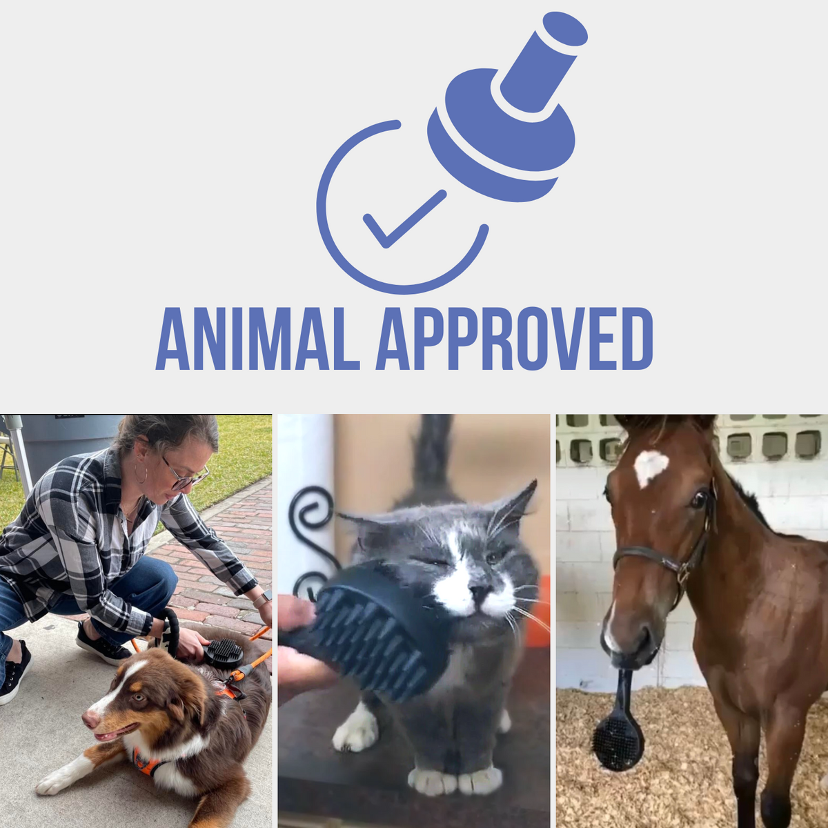 Curry on a Stik fine flexible-tooth side for sensitive areas on horses dogs and cats