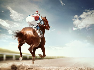 Healthy horse representing Cushings PLUS nutritional support results