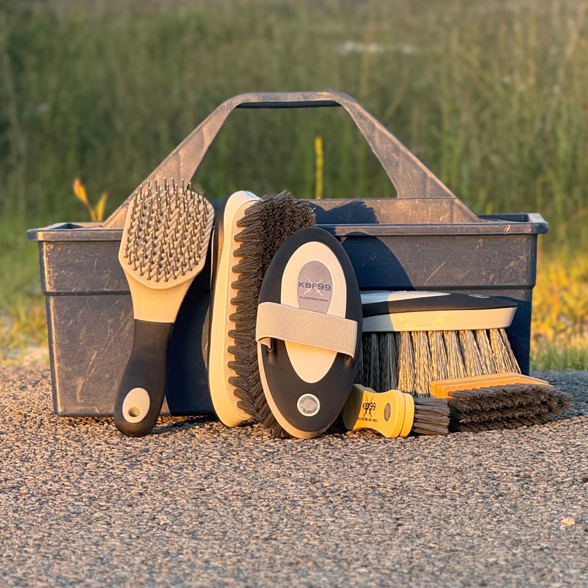 Black Daily Bonding Brush set arranged around a grooming tote outdoors