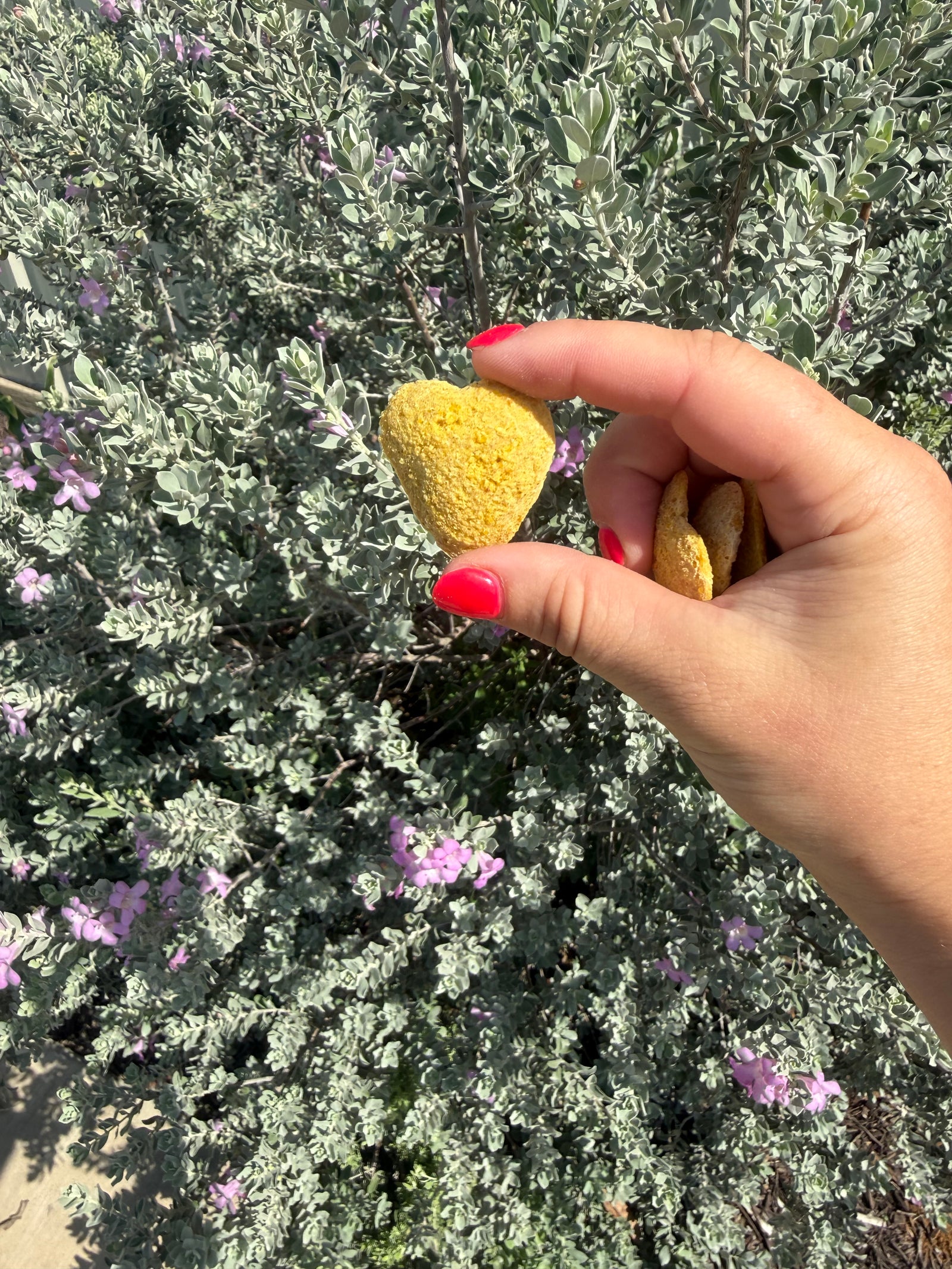 Banana heart-shaped natural horse treat from Delicious Horse Treats held outdoors