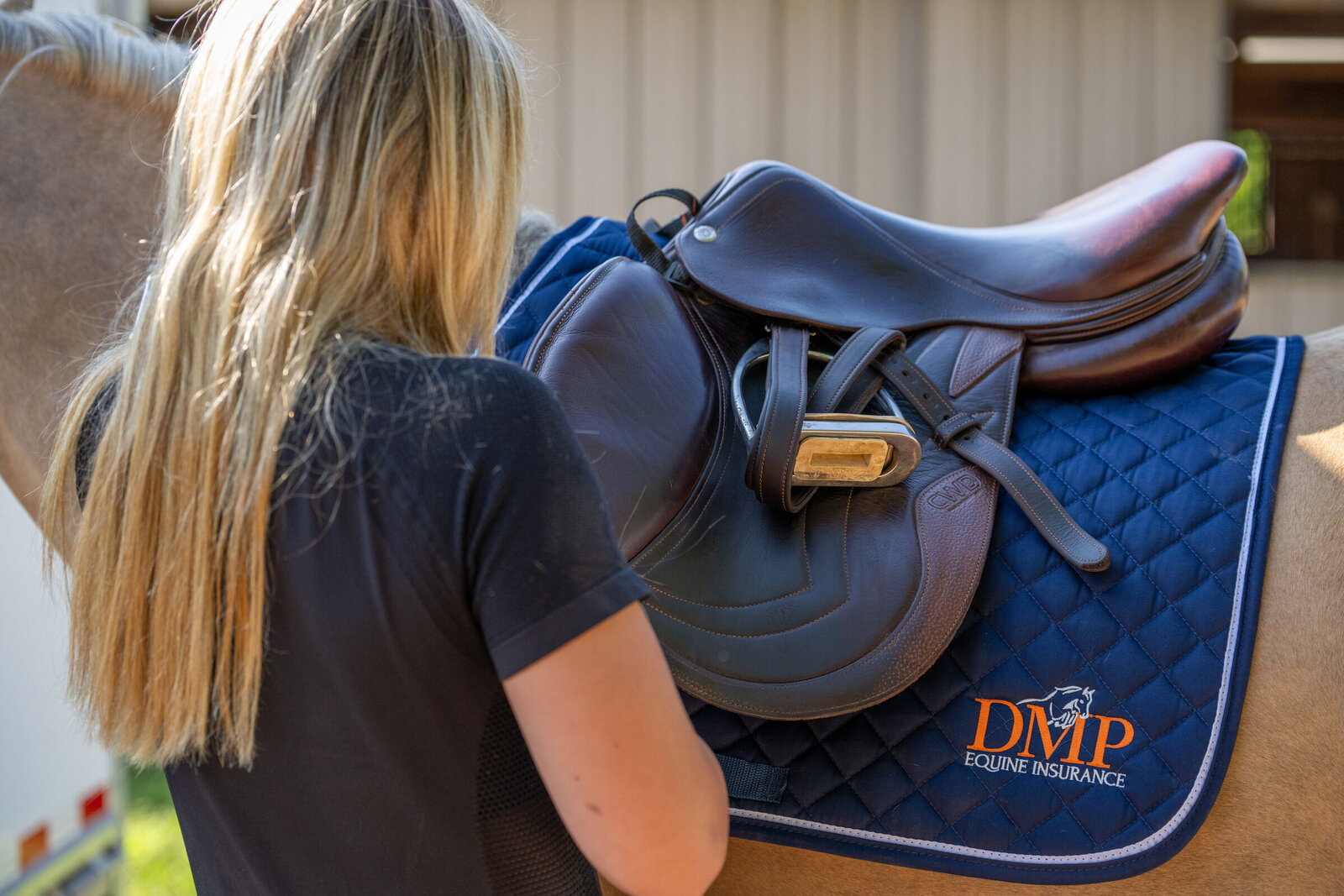 DMP Equine Insurance lifestyle photo of horse and rider