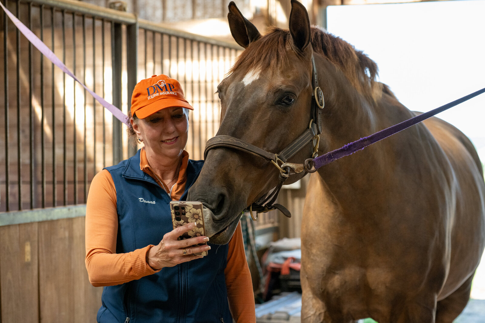 DMP Equine Insurance equestrian show jumping lifestyle image