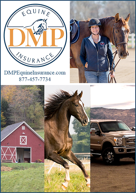 Nationwide Equine Insurance by DMP Equine Insurance