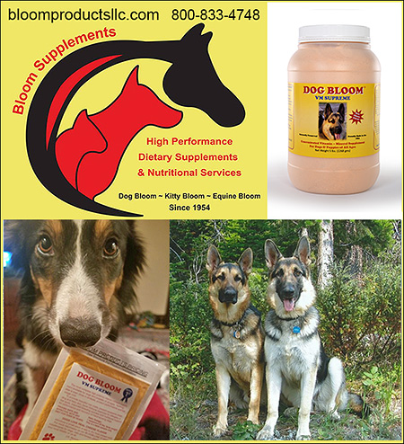 Dog Bloom Supplements by Bloom Products LLC.