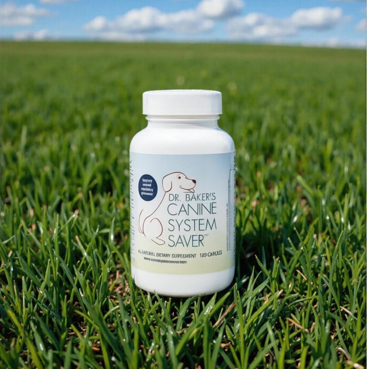 Canine System Saver daily joint and skin support supplement detail