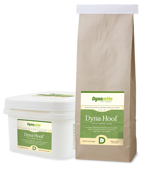 Dyna Hoof equine hoof supplement by Dynamite Specialty Products product lineup