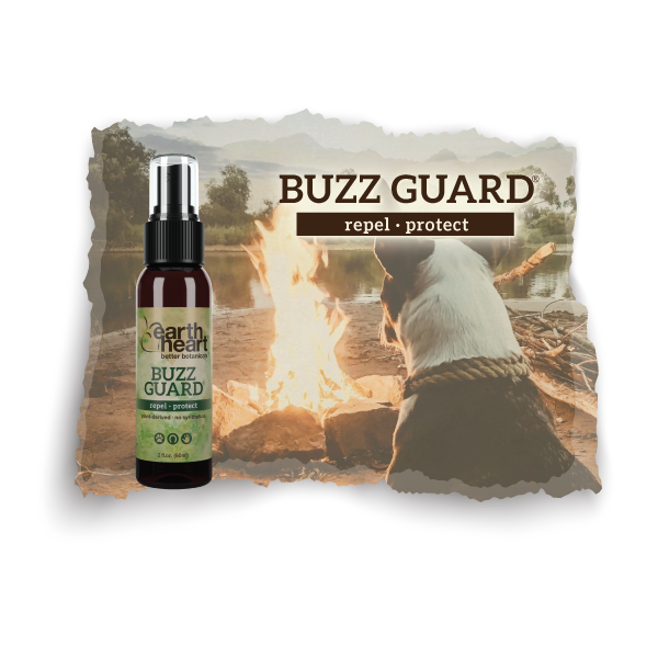 Earth Heart Buzz Guard natural insect protection aromatherapy for dogs