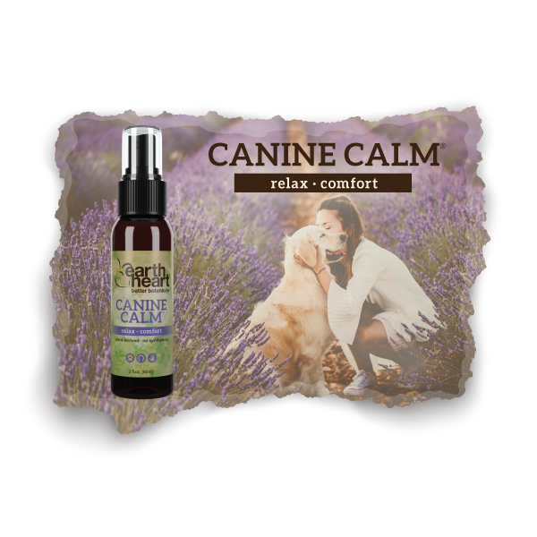 Earth Heart Canine Calm aromatherapy product for relaxing anxious dogs