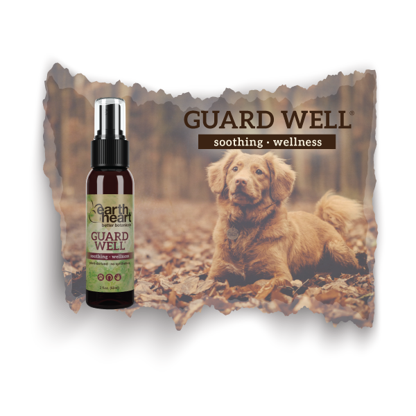 Earth Heart Guard Well aromatherapy blend for canine skin and respiratory wellness
