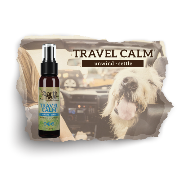Earth Heart Travel Calm aromatherapy blend for dogs that get carsick or restless
