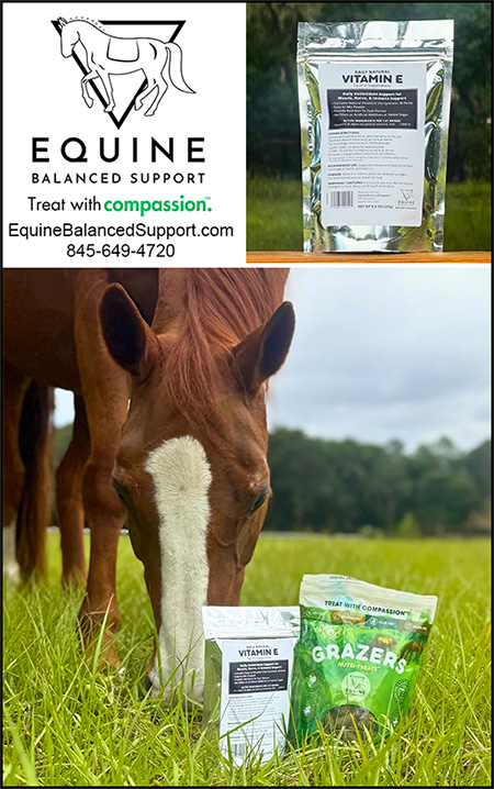 Daily, Natural Vitamin E by Equine Balanced Support