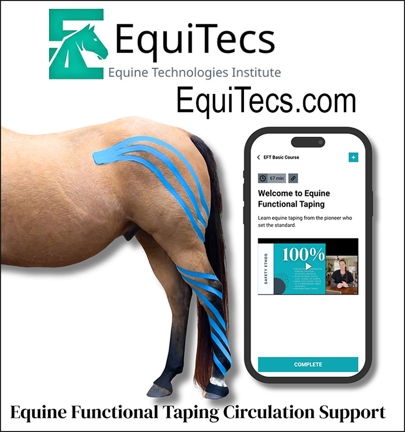 equitecsAd