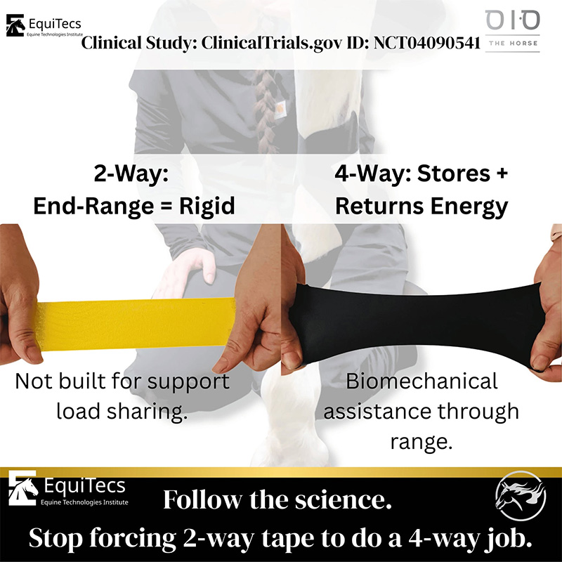 equitecsstretch