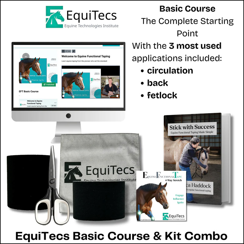equitecsbasic