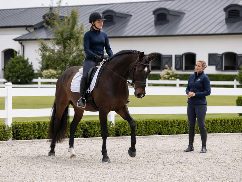 dressageinstruccontact